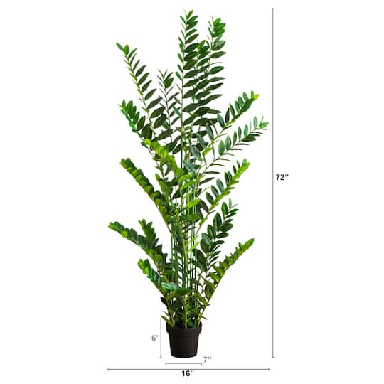6ft. Artificial Zamioculcas Plant